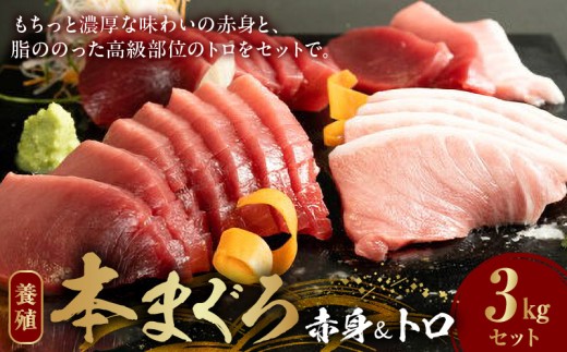 【和歌山県有田郡湯浅町】AZ6021_本マグロ (養殖) 赤身 & トロ セット 3kg