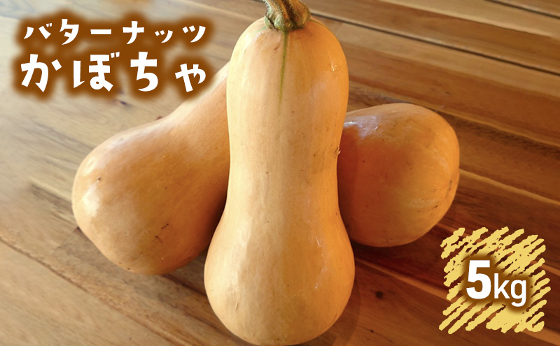 兵庫県小野市のふるさと納税 訳あり バターナッツかぼちゃ 5kgセット[ 不揃い かぼちゃ 野菜 ] 食材 国産 国産野菜 濃厚 甘み なめらか ねっとり