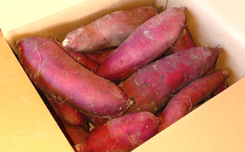 兵庫県小野市のふるさと納税 訳あり 熟成 さつまいも 5kgセット[ 不揃い 野菜 ] 食材 国産 国産野菜 紅はるか ふくむらさき 紅あずま 熟成さつまいも