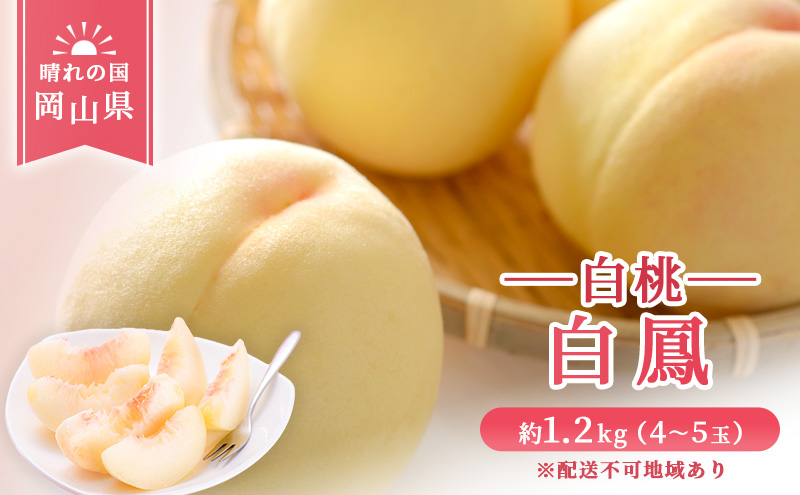 2026年 先行予約】 桃 岡山県産 白鳳 （ 白桃 ）約1.2kg(4～5玉
