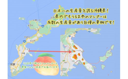【ふるさと納税】徳田さんの最高級贈答用マンゴー　大玉4～5個　【 先行予約 2026年発送 】