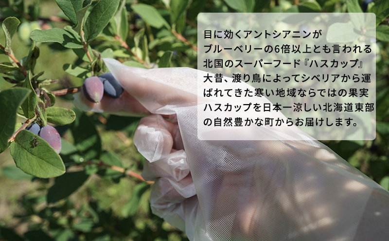 厚岸ハスカ 冷凍ハスカップ 1袋（500g） アントシアニン スーパーフード 果実 ビタミン ミネラル 抗酸化作用 ポリフェノール 北海道産 