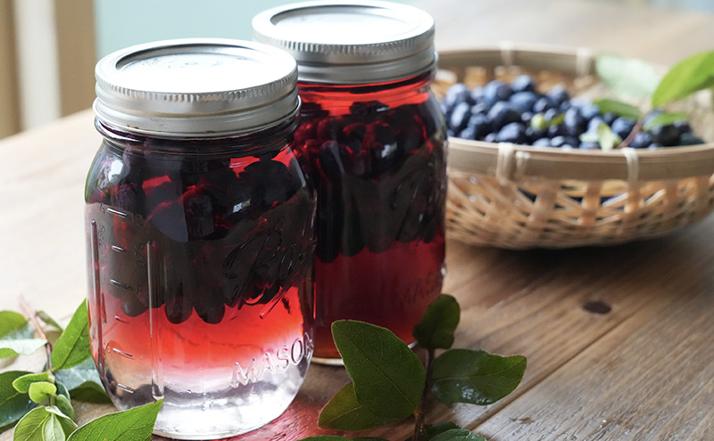 厚岸ハスカ 冷凍ハスカップ 2袋（750g×2 計1.5kg） アントシアニン スーパーフード 果実 ビタミン ミネラル 抗酸化作用 ポリフェノール 北海道産 