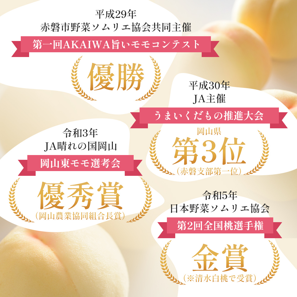 桃 2026年 先行予約 清水 白桃 をお届け！約3.0kg 9～12玉 糖度センサー選果 糖度12度以上 もも モモ 岡山県 赤磐市産 国産 フルーツ あみかフルーツ 