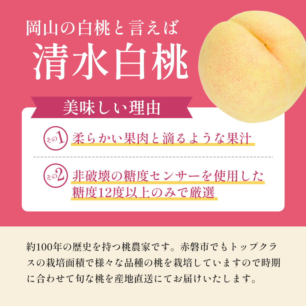 桃 2026年 先行予約 清水 白桃 をお届け！約3.0kg 9～12玉 糖度センサー選果 糖度12度以上 もも モモ 岡山県 赤磐市産 国産 フルーツ あみかフルーツ 