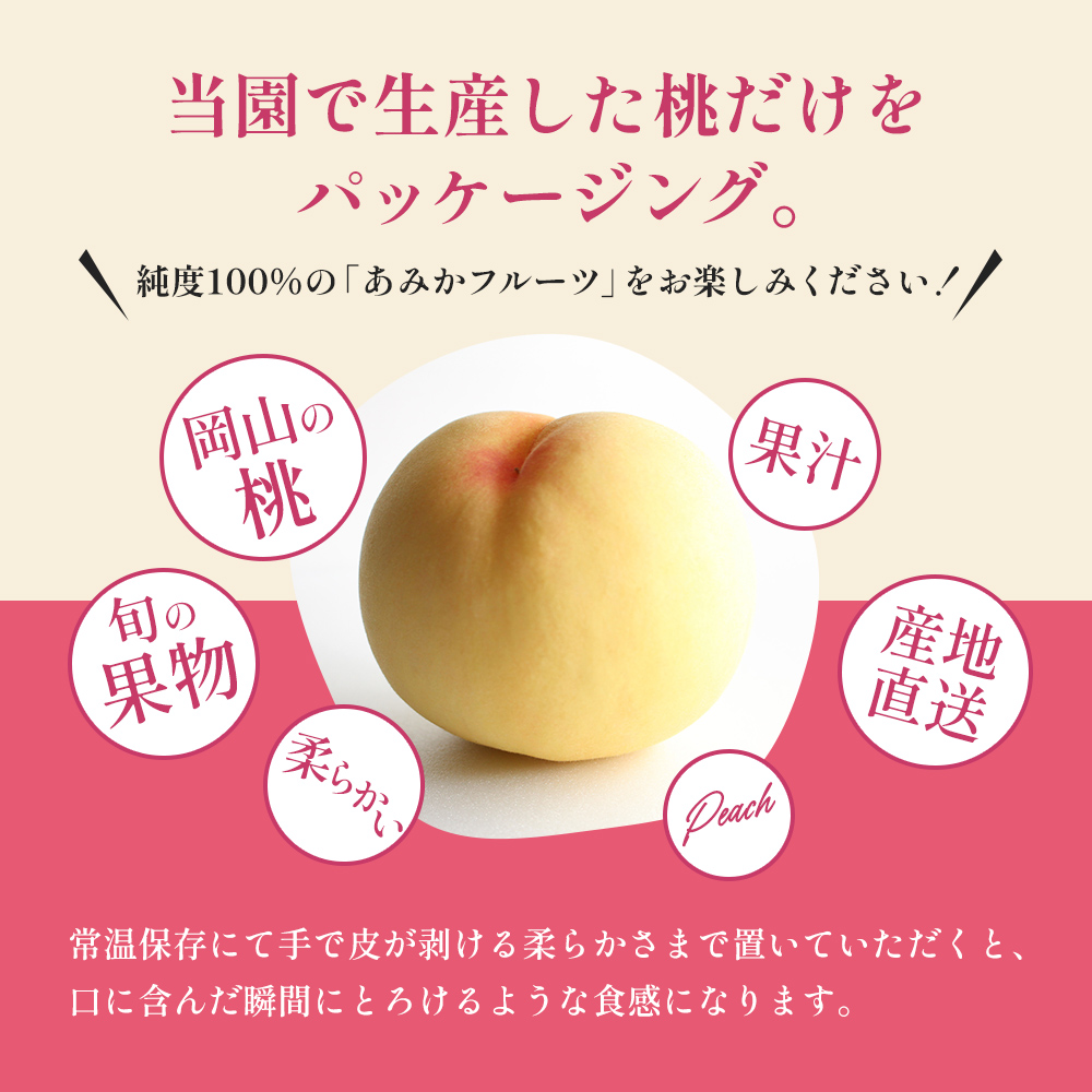 桃 2026年 先行予約 清水 白桃 をお届け！約3.0kg 9～12玉 糖度センサー選果 糖度12度以上 もも モモ 岡山県 赤磐市産 国産 フルーツ あみかフルーツ 