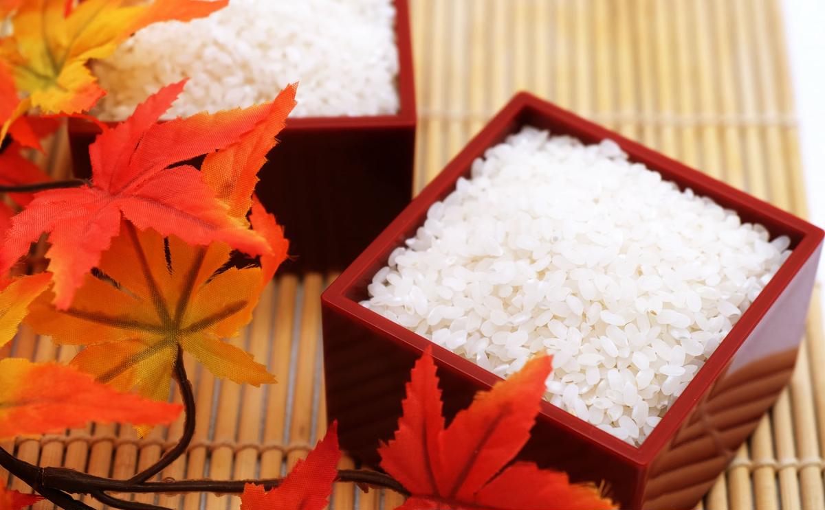 埼玉県飯能市のふるさと納税 埼玉県産 金芽米(彩のきずな)【BG無洗米】5kg[52210914]