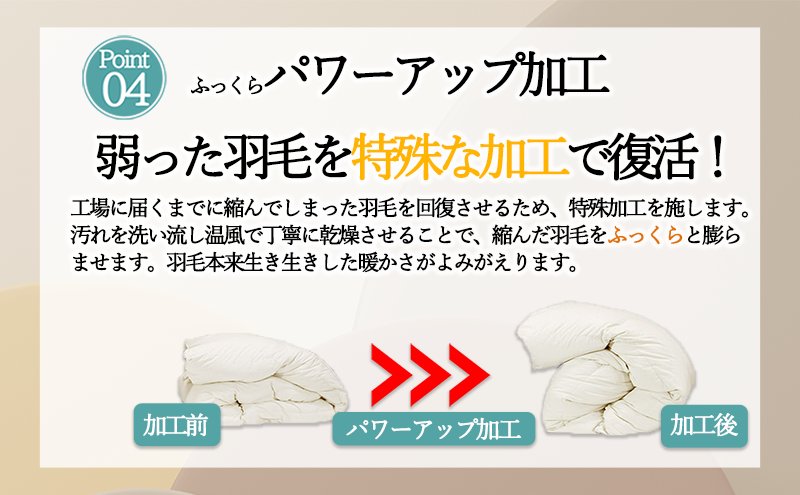 奈良県王寺町のふるさと納税 【５色展開】洗える羽毛合い掛け布団シングルダウン90％350dp北欧デザイン羽毛1.2kg洗濯可羽毛布団 寝具