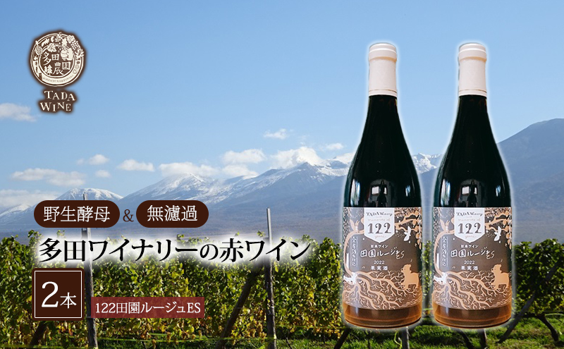 SORACHI 1984 ≪ソラチ1984≫1箱（350ml×12缶） 吉澤商店 北海道 上