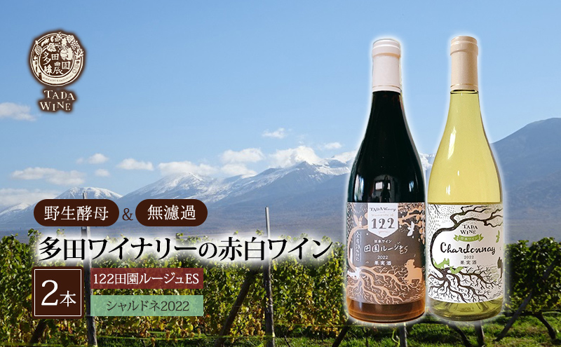 缶ビール(SORACHI1984)8缶＆地養豚カレー4箱セット 北海道 上富良野町