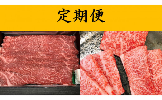 yꌧߍ]szߍ]ցy@̉zS6yAB90Wz