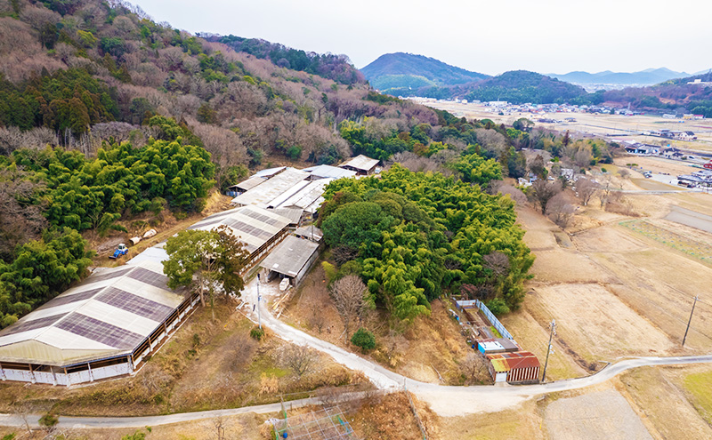 兵庫県赤穂市のふるさと納税 神戸牛 サーロイン、ランプ 、イチボ  厚切り ハーフカット ステーキ 食べ比べ セット( サーロイン 130g ランプ 100g イチボ 100g )ステーキ 肉 和牛 食べ比べ【 赤穂市 】 食材 お肉
