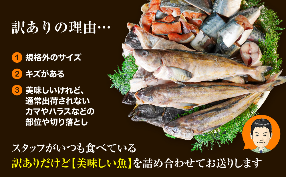 北海道鹿部町のふるさと納税 【2025年12月下旬発送】訳あり 北海道のおさかな屋さんの まかないセット 冷凍魚貝 最大4kg 魚 魚介 訳あり