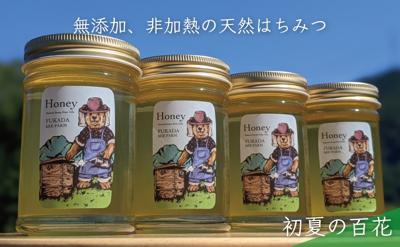 合計920g 天然蜂蜜 国産蜂蜜 非加熱 生はちみつ 岐阜県 美濃市産 初夏 (蜂蜜230g入りガラス瓶4本)B4 深田養蜂のハチミツ