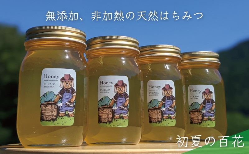 ふるさと納税】天然はちみつ「はち美っちゃん」 百花蜜 150g×9個