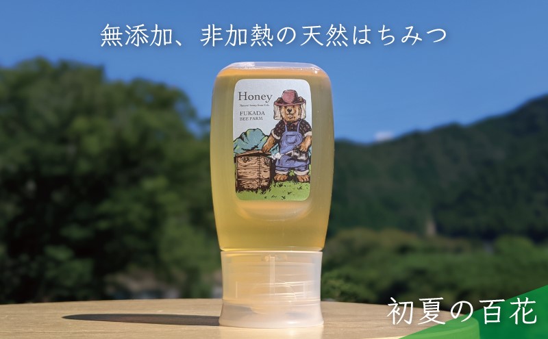 合計300g 天然蜂蜜 国産蜂蜜 非加熱 生はちみつ 岐阜県 美濃市産 初夏 (蜂蜜300g入りピタッとボトル1本)B9 深田養蜂のハチミツ