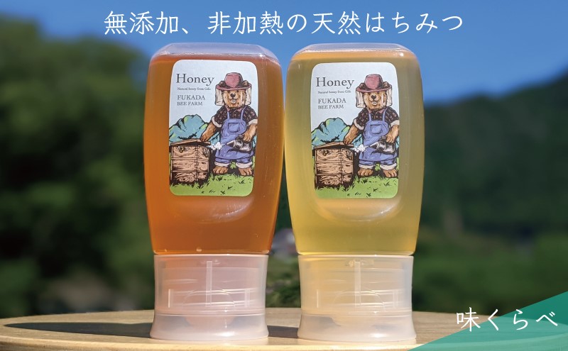合計600g 天然蜂蜜 国産蜂蜜 非加熱 生はちみつ 岐阜県 美濃市産 味比べ 蜂蜜300g入りピタッとボトル2本セットC5 深田養蜂のハチミツ