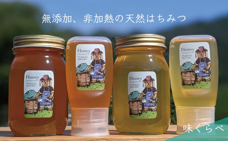 合計1800g 天然蜂蜜 国産蜂蜜 非加熱 生はちみつ 岐阜県 美濃市