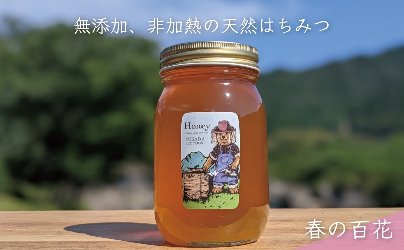 合計600g 天然蜂蜜 国産蜂蜜 非加熱 生はちみつ 岐阜県 美濃市産 春 (蜂蜜600g入りガラス瓶1本)A5 深田養蜂のハチミツ
