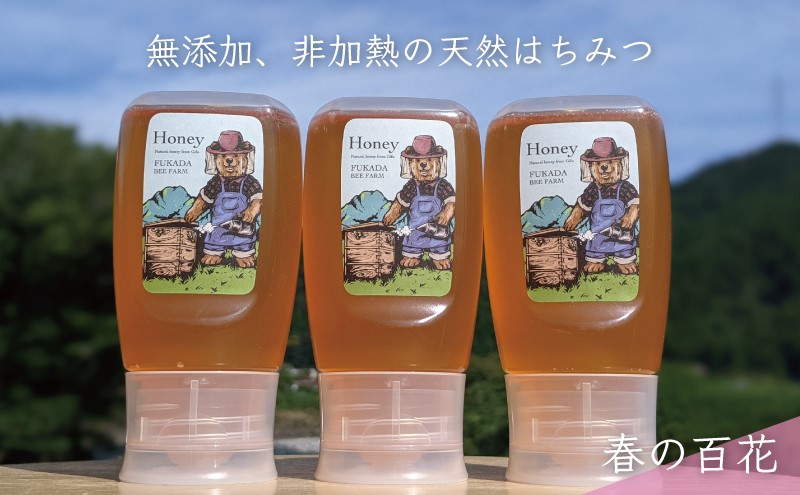 合計900g 天然蜂蜜 国産蜂蜜 非加熱 生はちみつ 岐阜県 美濃市産 春 (蜂蜜300g入りピタッとボトル3本セット)A11 深田養蜂のハチミツ