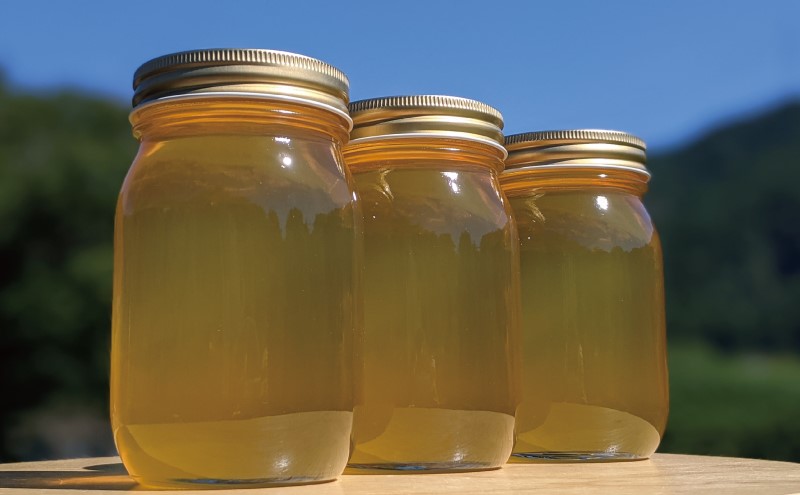 合計1800g 天然蜂蜜 国産蜂蜜 非加熱 生はちみつ 岐阜県 美濃市産 初夏 (蜂蜜600g入りガラス瓶3本セット)B7 深田養蜂のハチミツ