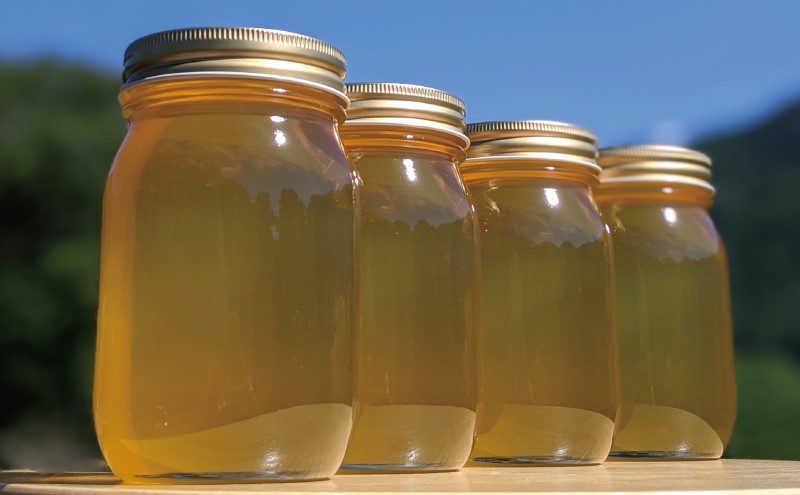 合計2400g 天然蜂蜜 国産蜂蜜 非加熱 生はちみつ 岐阜県 美濃市産 初夏 (蜂蜜600g入りガラス瓶4本)B8 深田養蜂のハチミツ