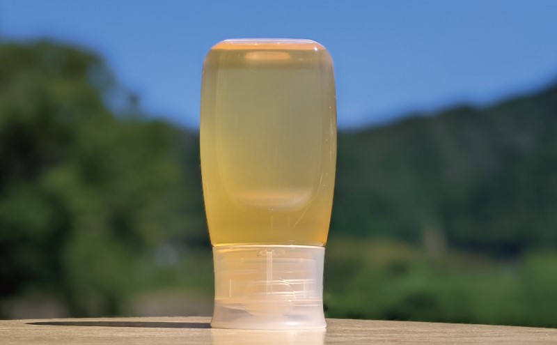 合計300g 天然蜂蜜 国産蜂蜜 非加熱 生はちみつ 岐阜県 美濃市産 初夏 (蜂蜜300g入りピタッとボトル1本)B9 深田養蜂のハチミツ