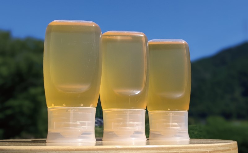 合計900g 天然蜂蜜 国産蜂蜜 非加熱 生はちみつ 岐阜県 美濃市産 初夏 (蜂蜜300g入りピタッとボトル3本セット)B11 深田養蜂のハチミツ