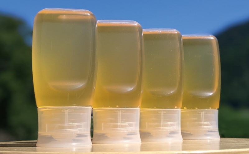 合計1200g 天然蜂蜜 国産蜂蜜 非加熱 生はちみつ 岐阜県 美濃市産 初夏 (蜂蜜300g入りピタッとボトル4本セット)B12 深田養蜂のハチミツ