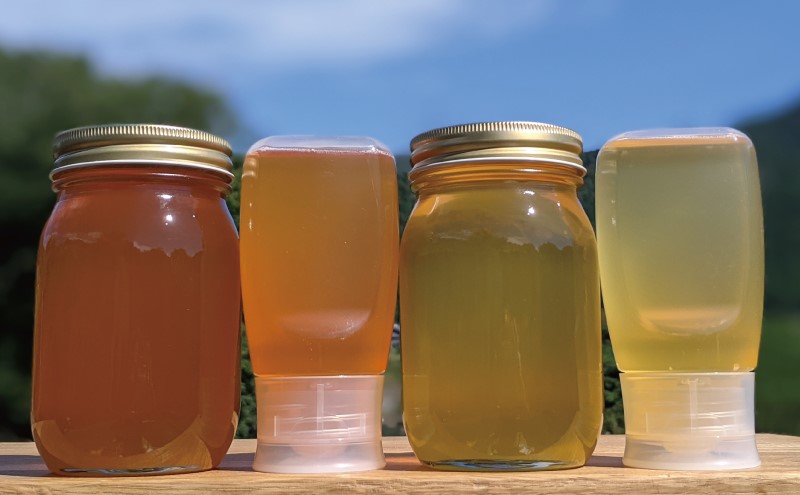 幻の蜂蜜 びわ蜜 しころ蜜 あざみ蜜 各600g 計3本 1800ｇ超希少蜂蜜 幻の蜂蜜 びわ蜜 しころ蜜 あざみ蜜 各600g 計3本 1800g