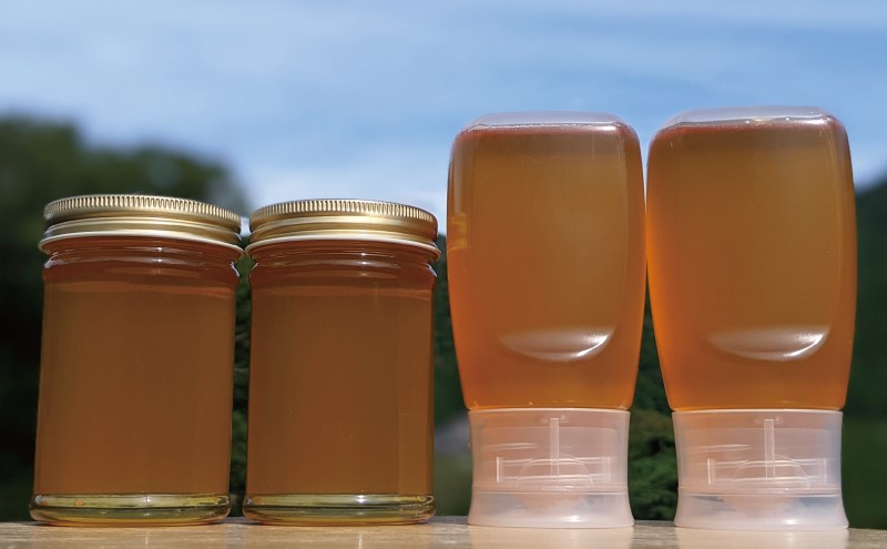 合計1060g 天然蜂蜜 国産蜂蜜 非加熱 生はちみつ 岐阜県 美濃市産 春 (蜂蜜230g入りガラス瓶2本,蜂蜜300g入りピタッとボトル2本のセット)A14 深田養蜂のハチミツ