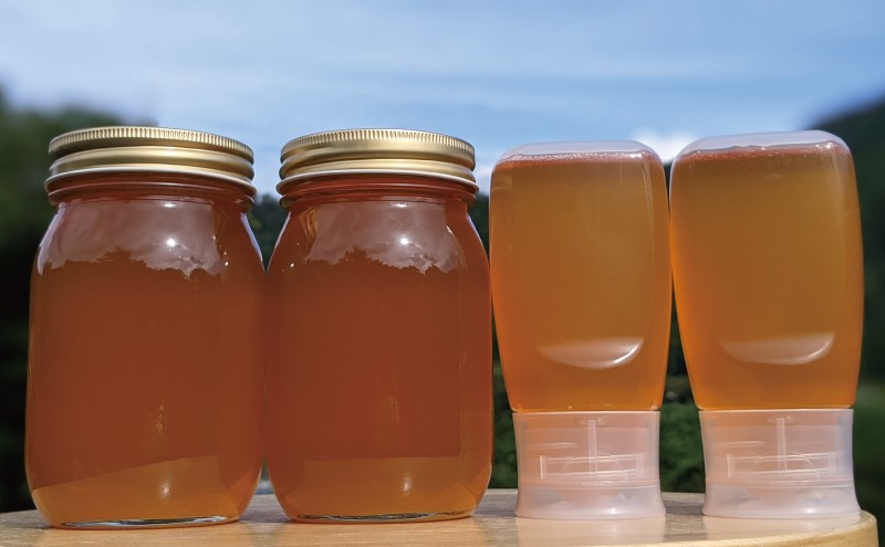 合計1800g 天然蜂蜜 国産蜂蜜 非加熱 生はちみつ 岐阜県 美濃市産 春 (蜂蜜600g入りガラス瓶2本,蜂蜜300g入りピタッとボトル2本のセット)A16 深田養蜂のハチミツ