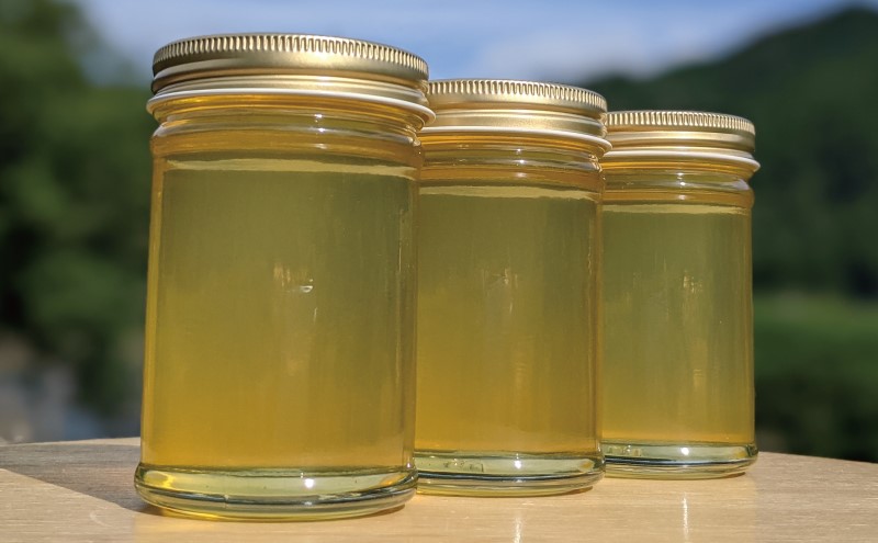 合計690g 天然蜂蜜 国産蜂蜜 非加熱 生はちみつ 岐阜県 美濃市産 初夏 (蜂蜜230g入りガラス瓶3本セット)B3 深田養蜂のハチミツ