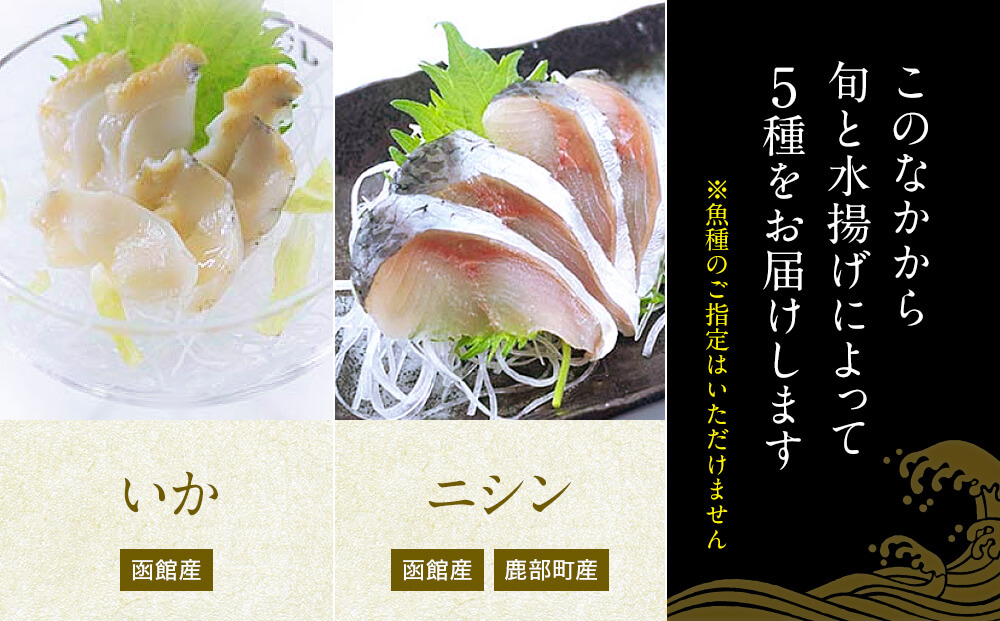 【2026年3月下旬発送】北海道産 旬のお刺身＜5種＞盛り合わせセット 約500g 約4～5人前 ほたて さくらます ほっけ いか たこ にしん つぶ貝 等