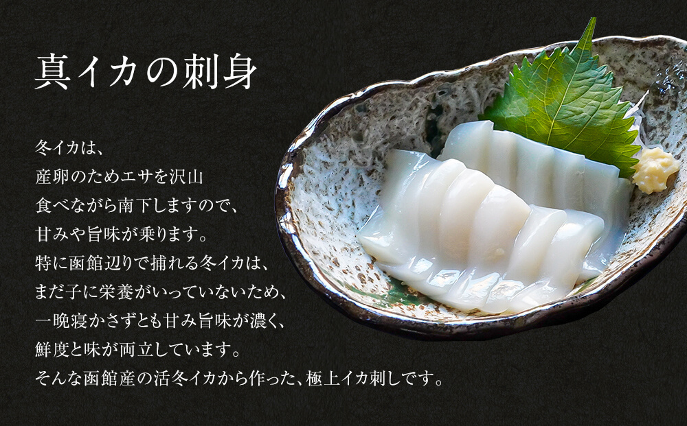 【2025年9月下旬発送】訳あり 漁師町鹿部のイカ尽くしセット 全5品いか イカ 詰め合わせ セット 期間限定