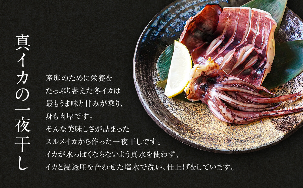 【2026年3月下旬発送】訳あり 漁師町鹿部のイカ尽くしセット 全5品 いか イカ 詰め合わせ セット