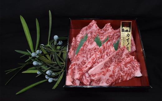 【年内発送 12/17迄受付】【常陸牛 希少部位】焼肉食べ比べ 8種セット 合計1.6kg