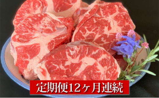 【定期便】常陸牛すね肉500g×2　12ヶ月連続お届け