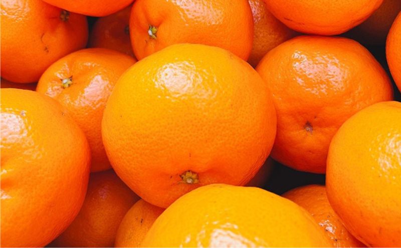 こたつみかん　約5kg（サイズいろいろ・ワケあり品）【配達不可地域あり】 果物類 柑橘類