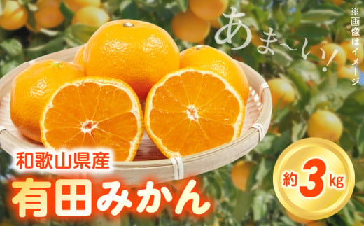 ZN6012_こだわりの和歌山県産 有田みかん 3kg ひとつひとつ手選別で厳選！生産者から直送