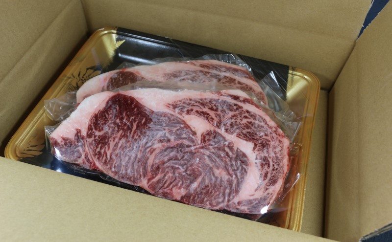 ステーキ ロース GI認証 くまもと あか牛 500g 赤牛 牛肉 肉 お肉 にく ニク 熊本 ブランド 和牛 BBQ バーベキュー 