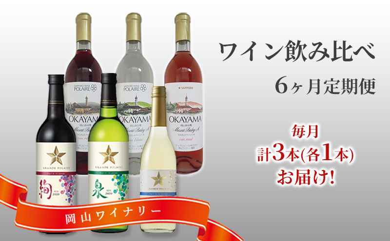 ワイン 飲み比べ 定期便 6ヶ月 サッポロ 岡山 ワイナリー お酒 ワイン ぶどう 