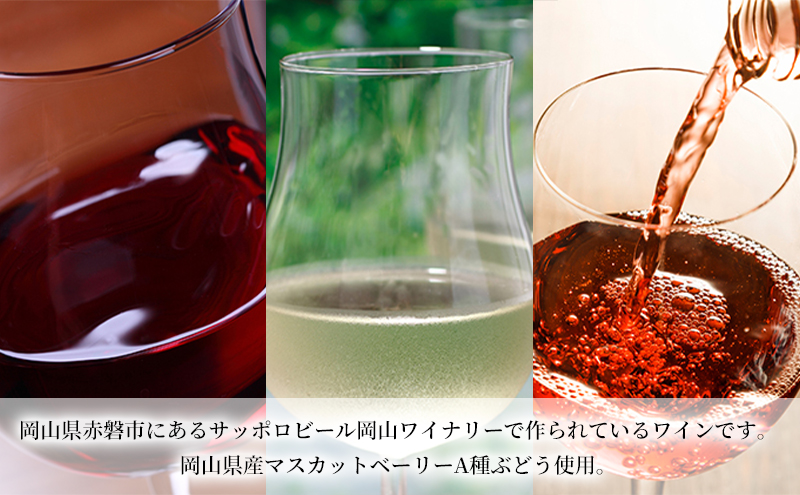 ワイン 飲み比べ 定期便 6ヶ月 サッポロ 岡山 ワイナリー お酒 ワイン ぶどう 