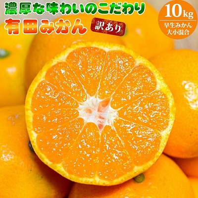 【和歌山県有田郡湯浅町】EA6036n_(訳あり 家庭用)濃厚な味わいのこだわり 有田みかん 10kg (早生みかん・大小混合)