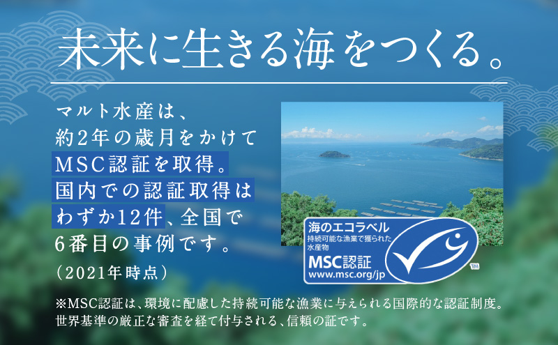 岡山県瀬戸内市のふるさと納税 牡蠣 冷凍 蒸し牡蠣 内閣総理大臣賞 受賞 大粒 500g MSC認証 マルト水産 岡山県邑久町虫明産 かき カキ 貝 海鮮 魚介類 魚介
