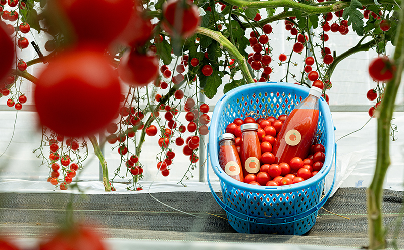 完熟しすぎちゃったミニトマトジュース　1L×2本 野菜飲料 野菜ジュース 飲み物 ドリンク 飲料 緑黄色野菜 赤い野菜 ベジタブル 