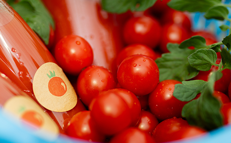 完熟しすぎちゃったミニトマトジュース　180ml×4本 野菜飲料 野菜ジュース 飲み物 ドリンク 飲料 緑黄色野菜 赤い野菜 ベジタブル 