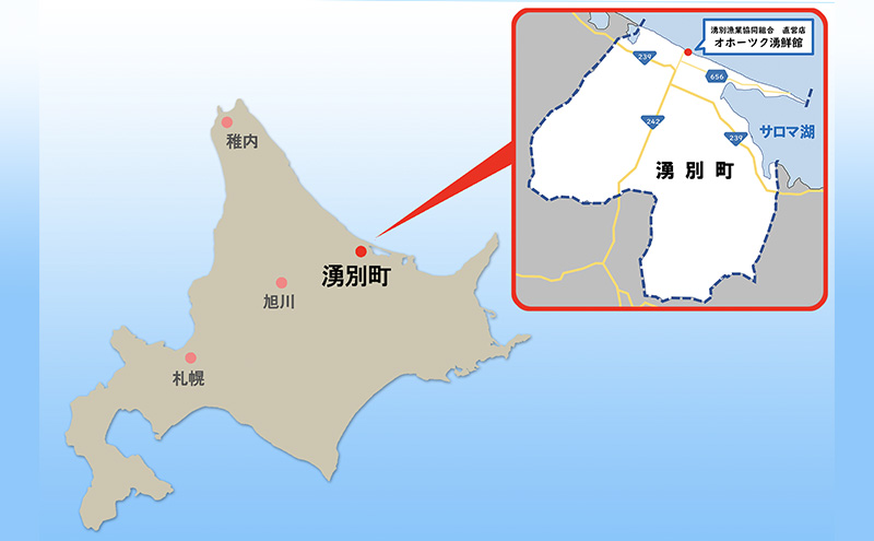 北海道 オホーツク 湧別産 冷凍 ほたて 貝柱（生食用）1kg 帆立 ホタテ 刺身 玉冷 海鮮 魚介 国産 サロマ湖 魚貝類 甘い 食感 急速冷凍 加工 鮮度 おいしい お刺身 フライ 天ぷら バター焼き 調理方法 