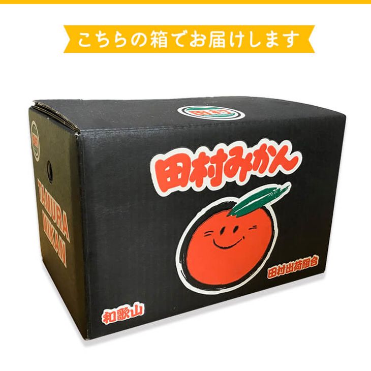 AB7126_【和歌山特産品】【プレミアムブランド】絶品！ 田村みかん 秀品 2Sサイズ 約3kg