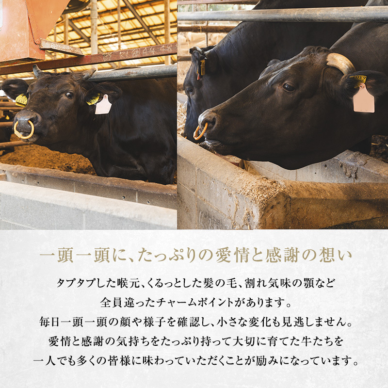 滋賀県豊郷町のふるさと納税 【近江牛 西川畜産】A5ランク雌牛 焼肉用 約850g （モモ・カタ・ウデ・バラ系等） ふるさと納税 お肉 牛肉 バーベキュー バラ(カルビ) ブランド牛
